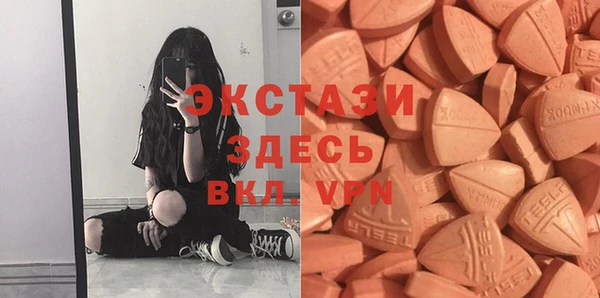 гидра Абаза