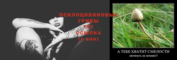 гидра Абаза