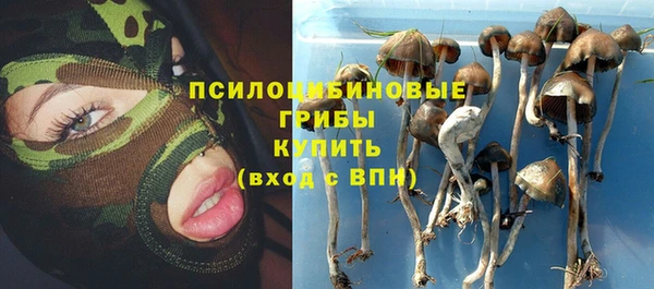 гидра Абаза