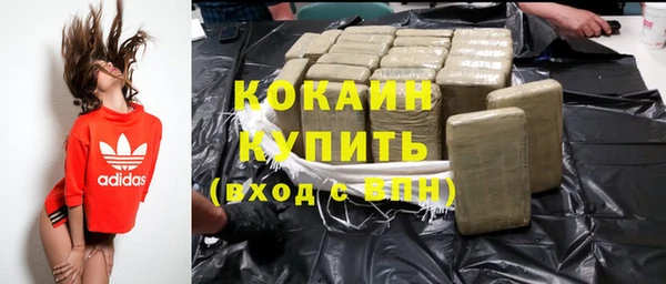 гидра Абаза