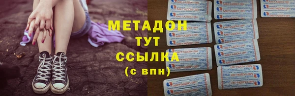 гидра Абаза