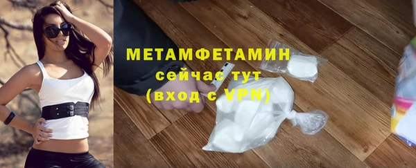 гидра Абаза
