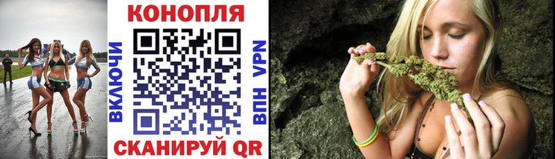 Канабис план  Кедровый 